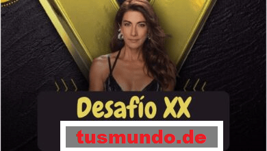 Desafío XX